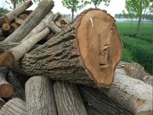 中國(guó)暖氣片十大品牌